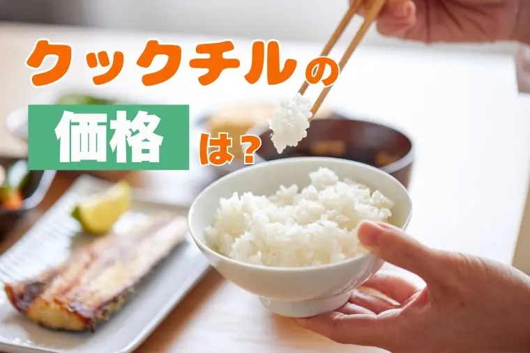 クックチル 価格